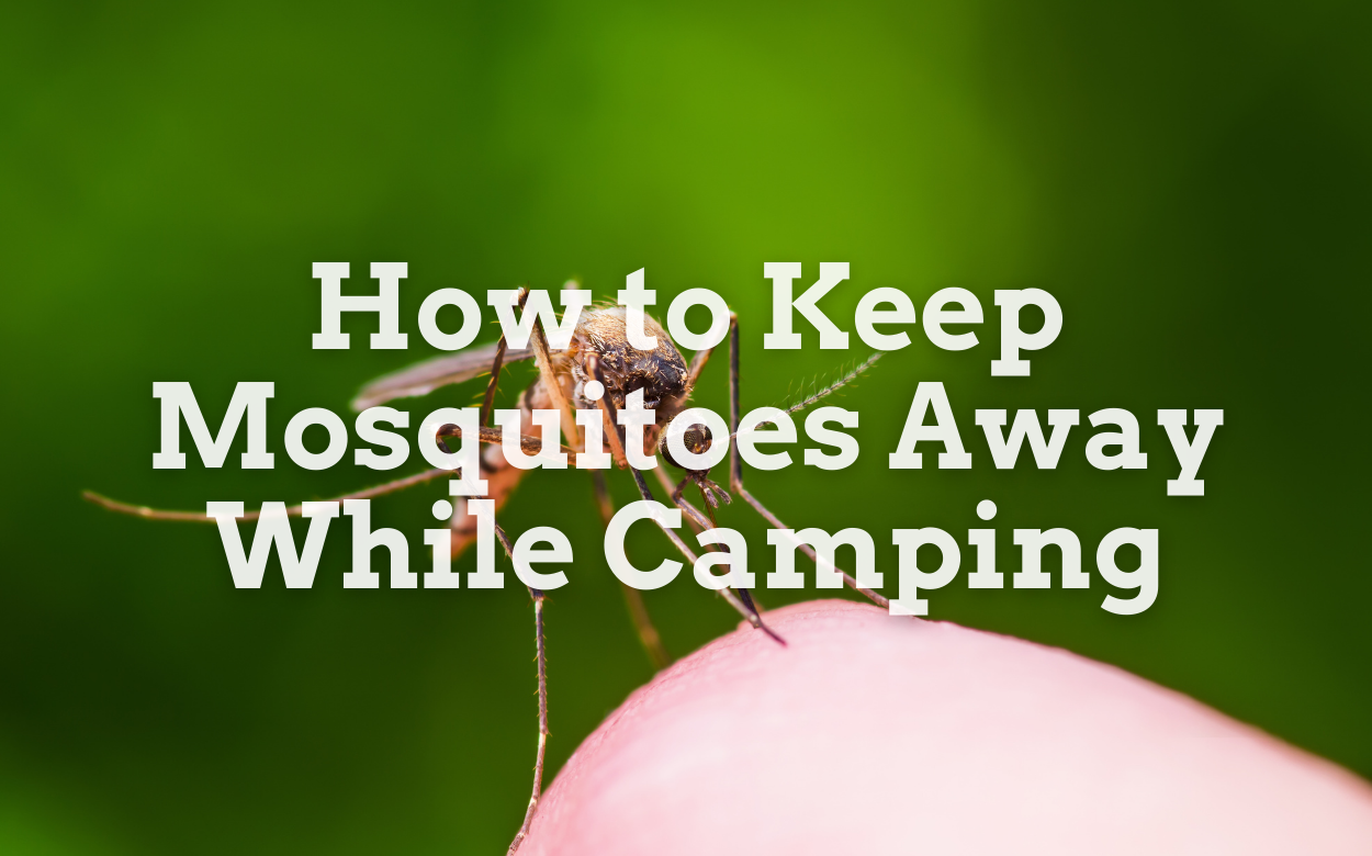 How to Keep Mosquitoes Away While Camping