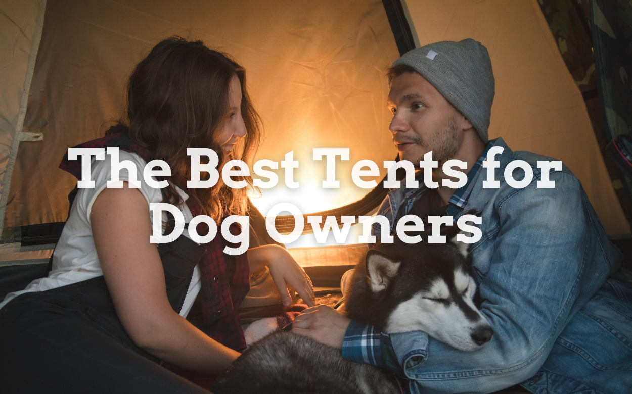 best tent for dog owners