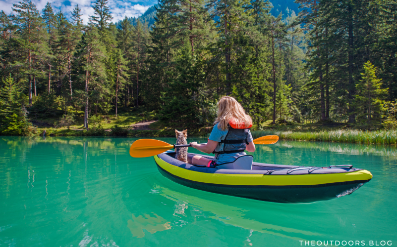 Can Dogs Go In An Inflatable Kayak?