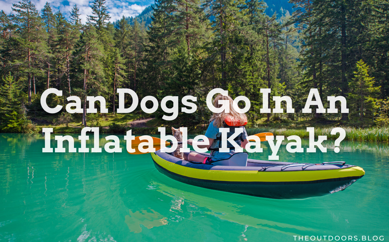 Can Dogs Go In An Inflatable Kayak?
